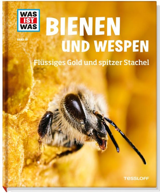 WAS IST WAS Band 19 Bienen und Wespen. Flüssiges Gold und spitzer Stachel