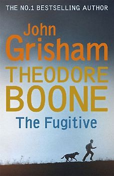 Theodore Boone: The Fugitive