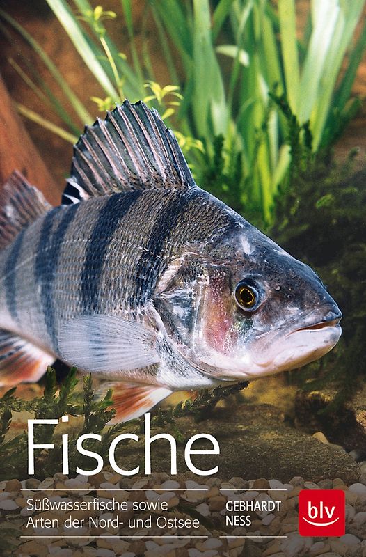 Fische
