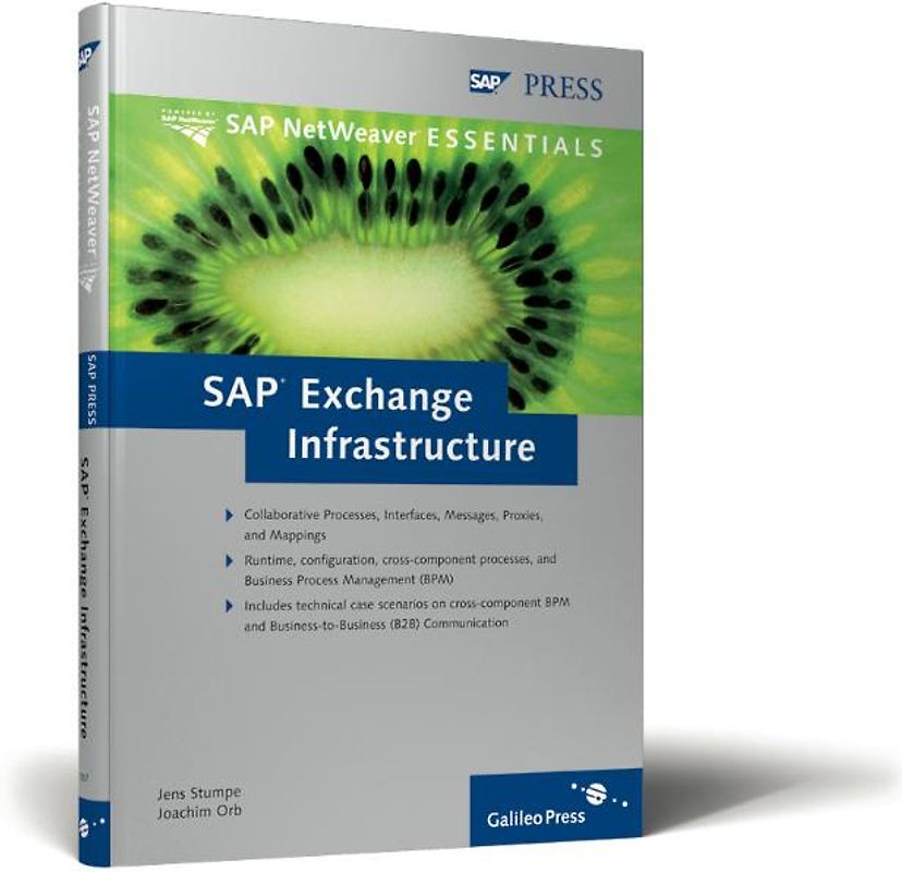 SAP Exchange Infrastructure