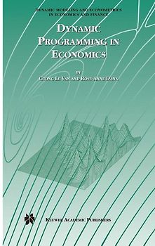 Dynamic Programming in Economics