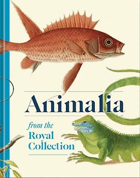 Animalia