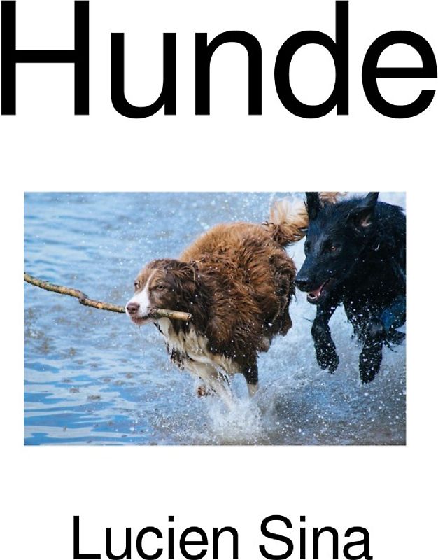 Hunde