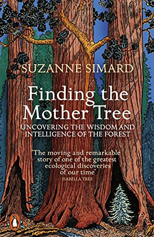 Finding the Mother Tree: Uncovering the Wisdom and Intelligence of the Forest