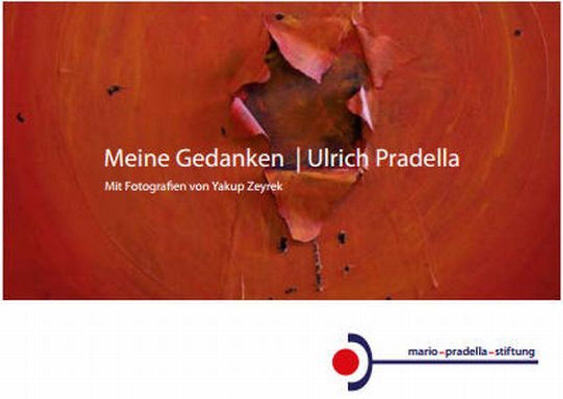 Meine Gedanken - Ulrich Pradella