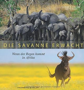 Die Savanne erwacht