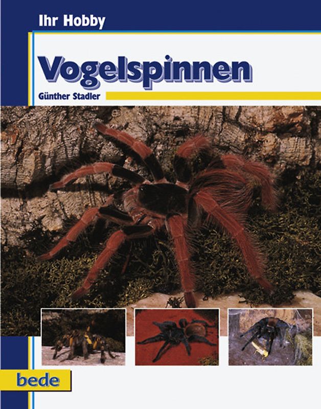 Vogelspinnen