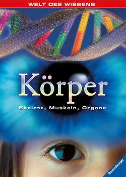 Körper
