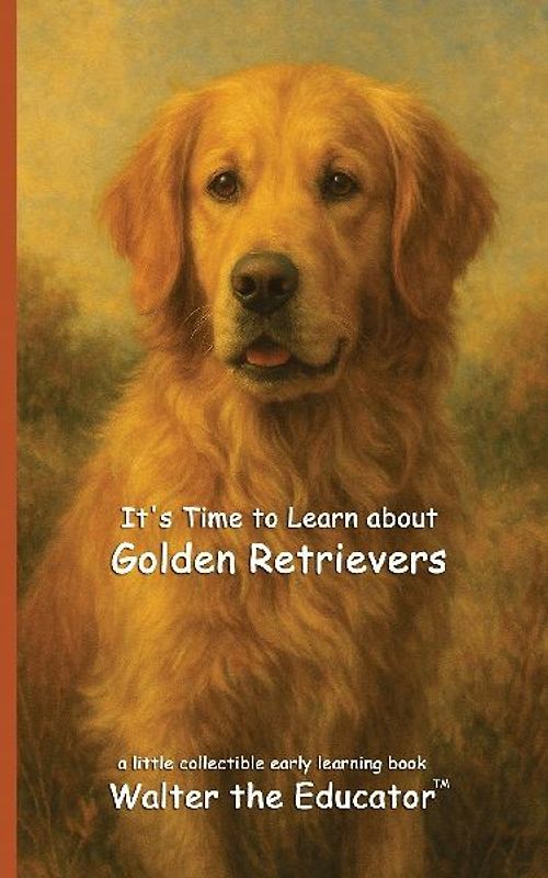 It's Time to Learn about Golden Retrievers