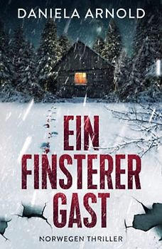 Ein finsterer Gast: Norwegen-Thriller