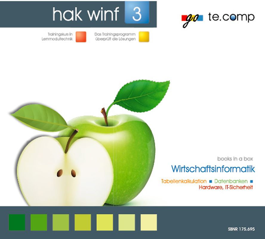 go te.comp - HAK Wirtschaftsinformatik 3 (inkl. Trainingssoftware)