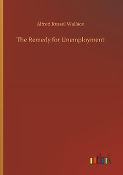 The Remedy for Unemployment