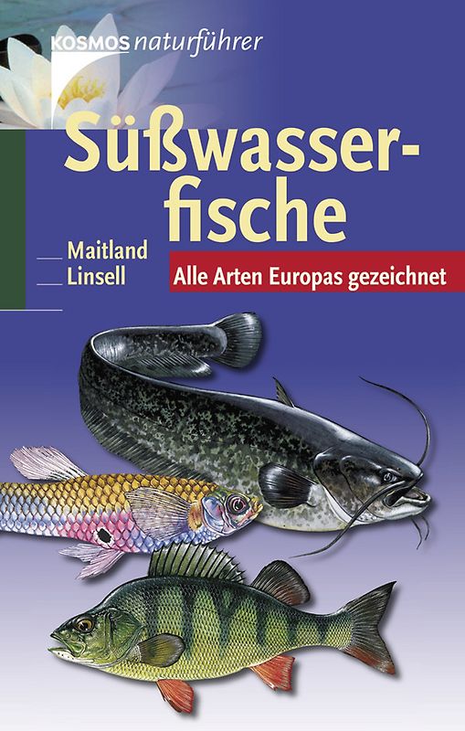Süßwasserfische