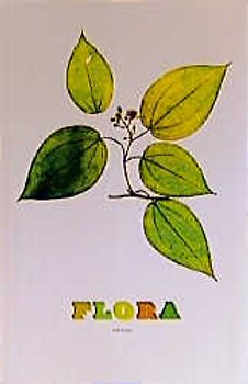 Flora