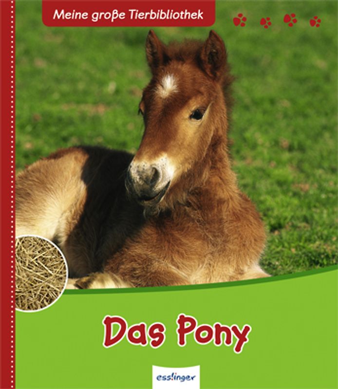 Meine große Tierbibliothek: Das Pony