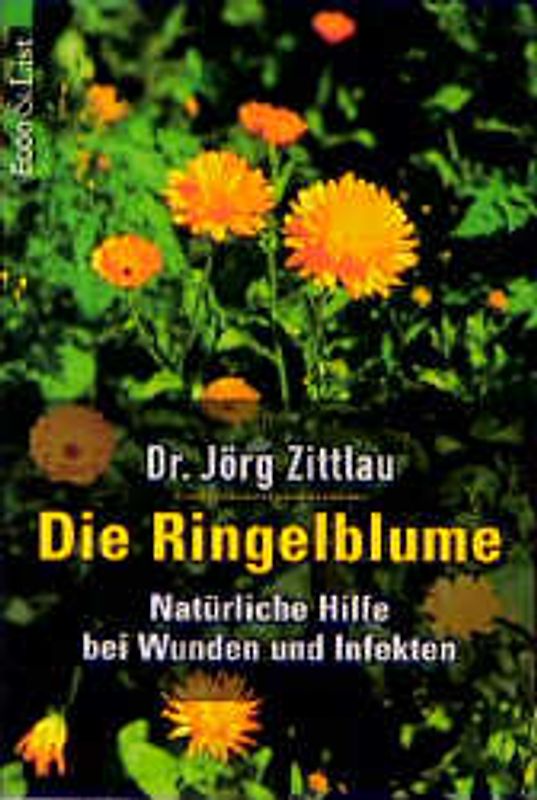 Die Ringelblume. Natürliche Hilfe bei Wunden und Infekten