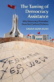 The Taming of Democracy Assistance
