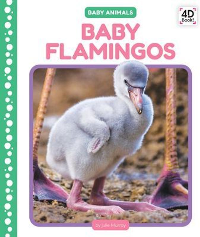 Baby Flamingos