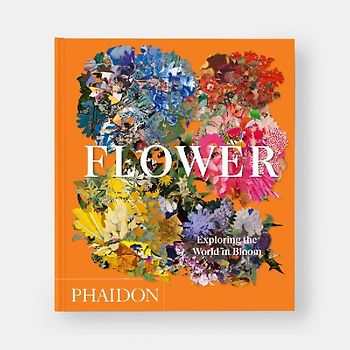 Flower: Exploring the World in Bloom