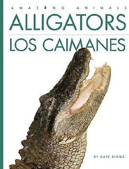 Alligators / Los Caimanes