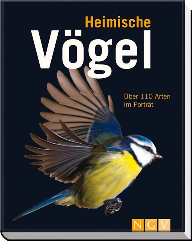 Heimische Vögel