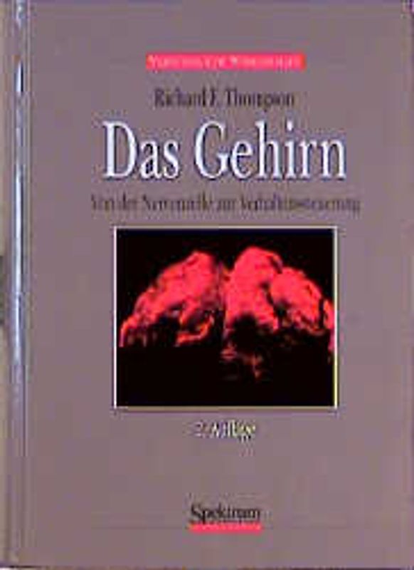 Das Gehirn