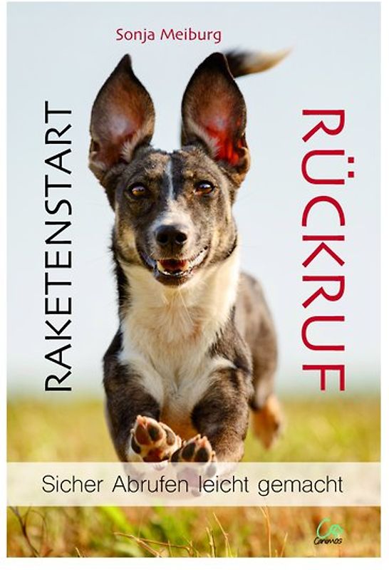 Raketenstart Rückruf