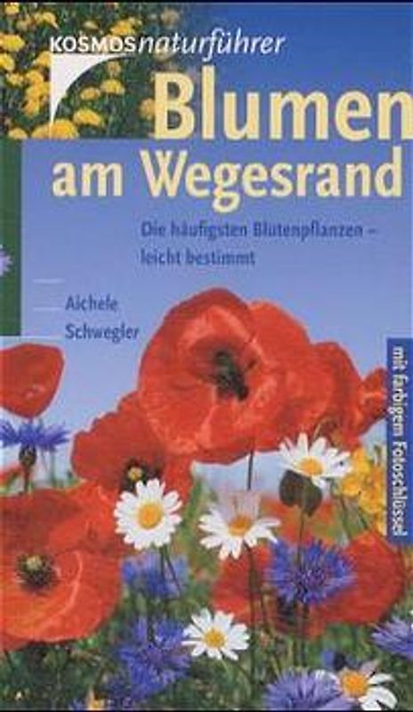 Blumen am Wegesrand