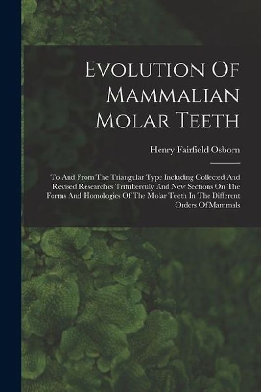 Evolution Of Mammalian Molar Teeth: To And From The Triangular Type Including Collected And Revised Researches Trituberculy And New Sections On The Fo