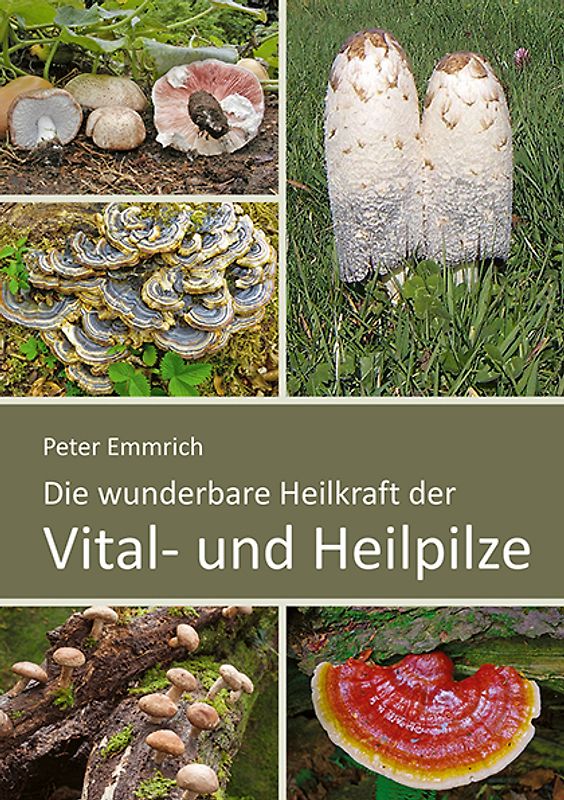 Die wunderbare Heilkraft der Vital- und Heilpilze