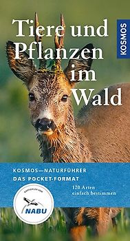 Tiere und Pflanzen im Wald