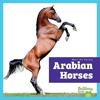 Arabian Horses