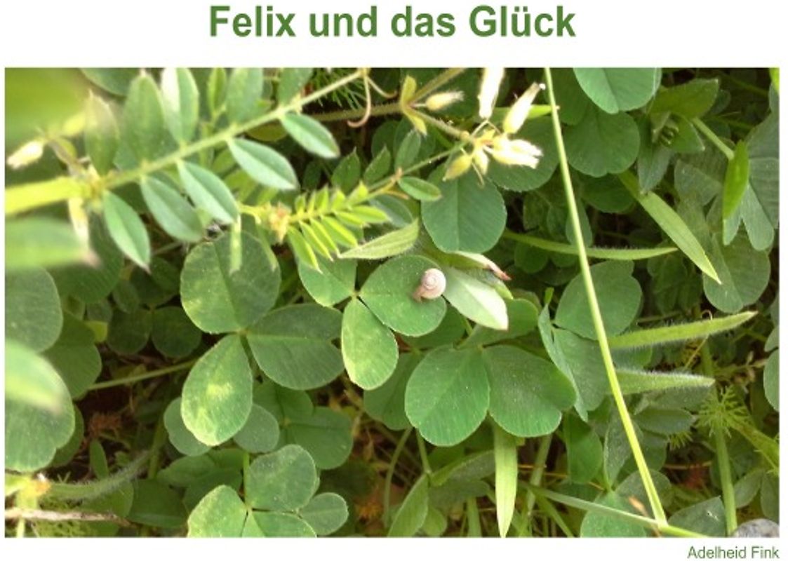 Felix und das Glück