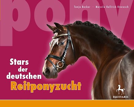 Stars der deutschen Reitponyzucht 4