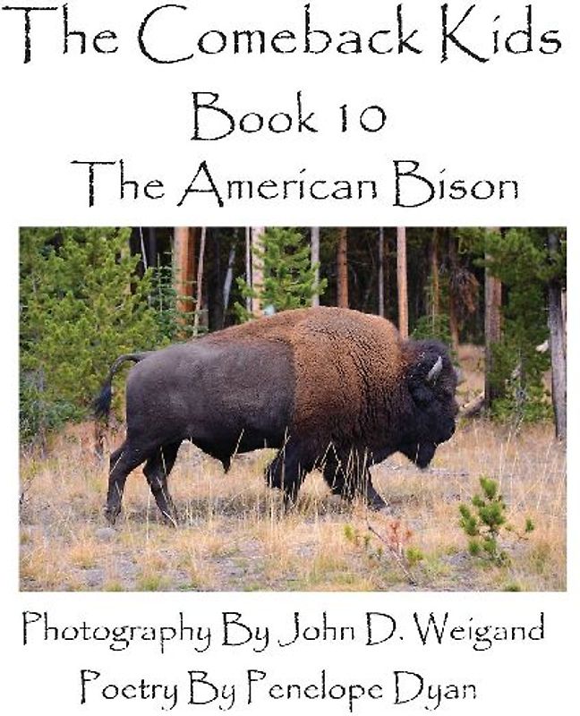 The Comeback Kids--Book 10--The American Bison