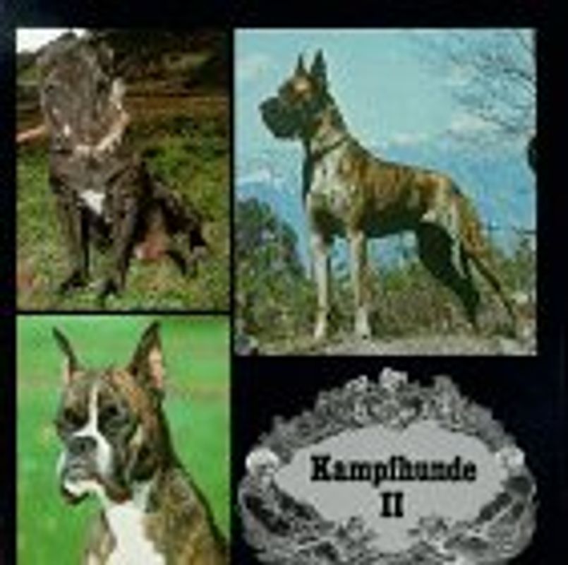 Kampfhunde II. Moderne Kampfhunderassen