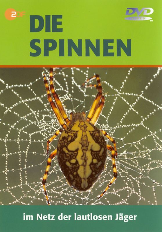 Die Spinnen - Im Netz der lautlosen Jäger DVD