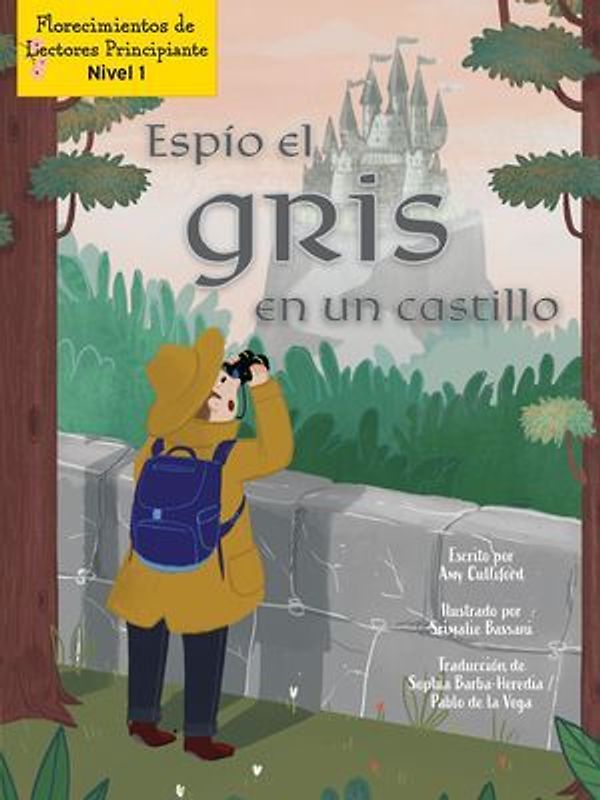 Espío El Gris En Un Castillo (I Spy Gray in a Castle)