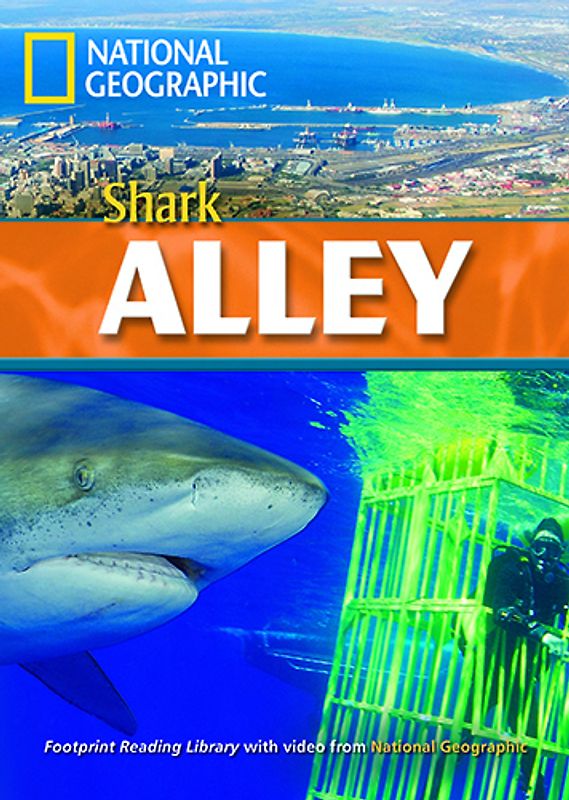 Shark Alley
