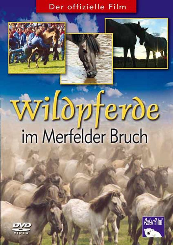 Wildpferde im Merfelder Bruch DVD