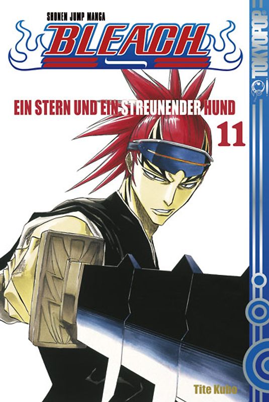 Bleach 11
