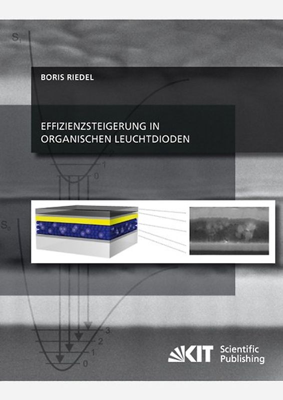 Effizienzsteigerung in organischen Leuchtdioden