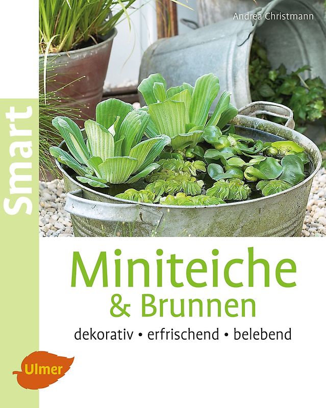 Miniteiche und Brunnen