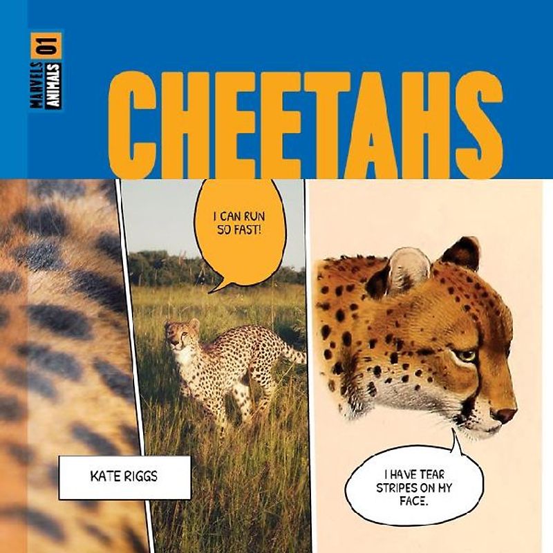 Cheetahs
