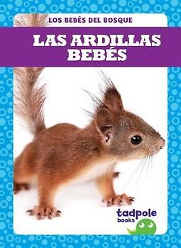Las Ardillas Bebés (Squirrel Kits)
