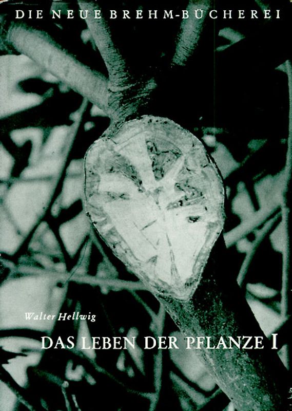 Das Leben der Pflanze