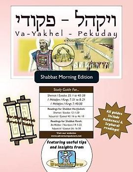 Bar/Bat Mitzvah Survival Guides: Va-Yakhel-Pekuday (Shabbat am)