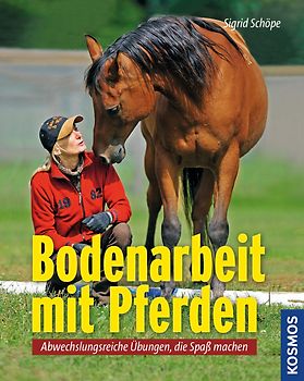 Bodenarbeit mit Pferden