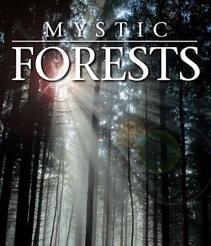 Mystic Forest