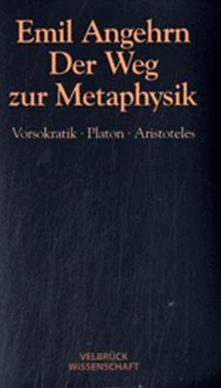 Der Weg zur Metaphysik - Studienausgabe